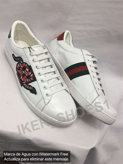 tenis gucci nueva lv supreme ferragamo